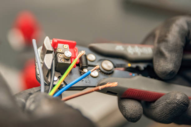 Best Electrical System Inspection  in Fanning Springs, FL